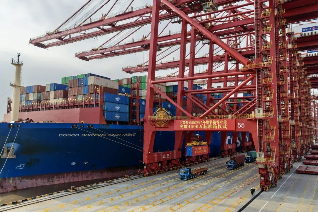 0118ec389ace76216533fcff6b45f1d7