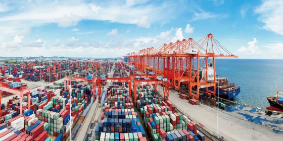 什么是海运港口服务？